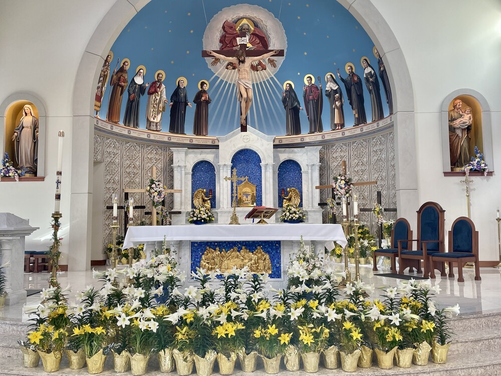 St Elizabeth Ann Seton Fort Collins Co seas-fc.solutiosoftware.com